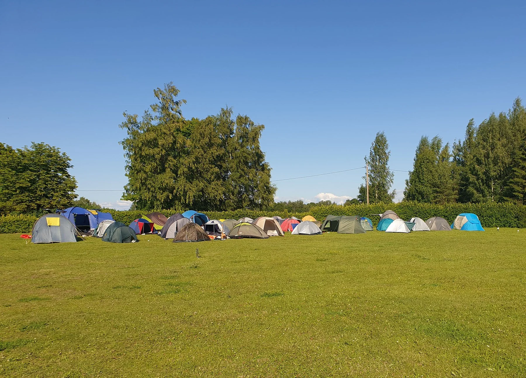 Spacious camping field with trees behind, tents in a long row