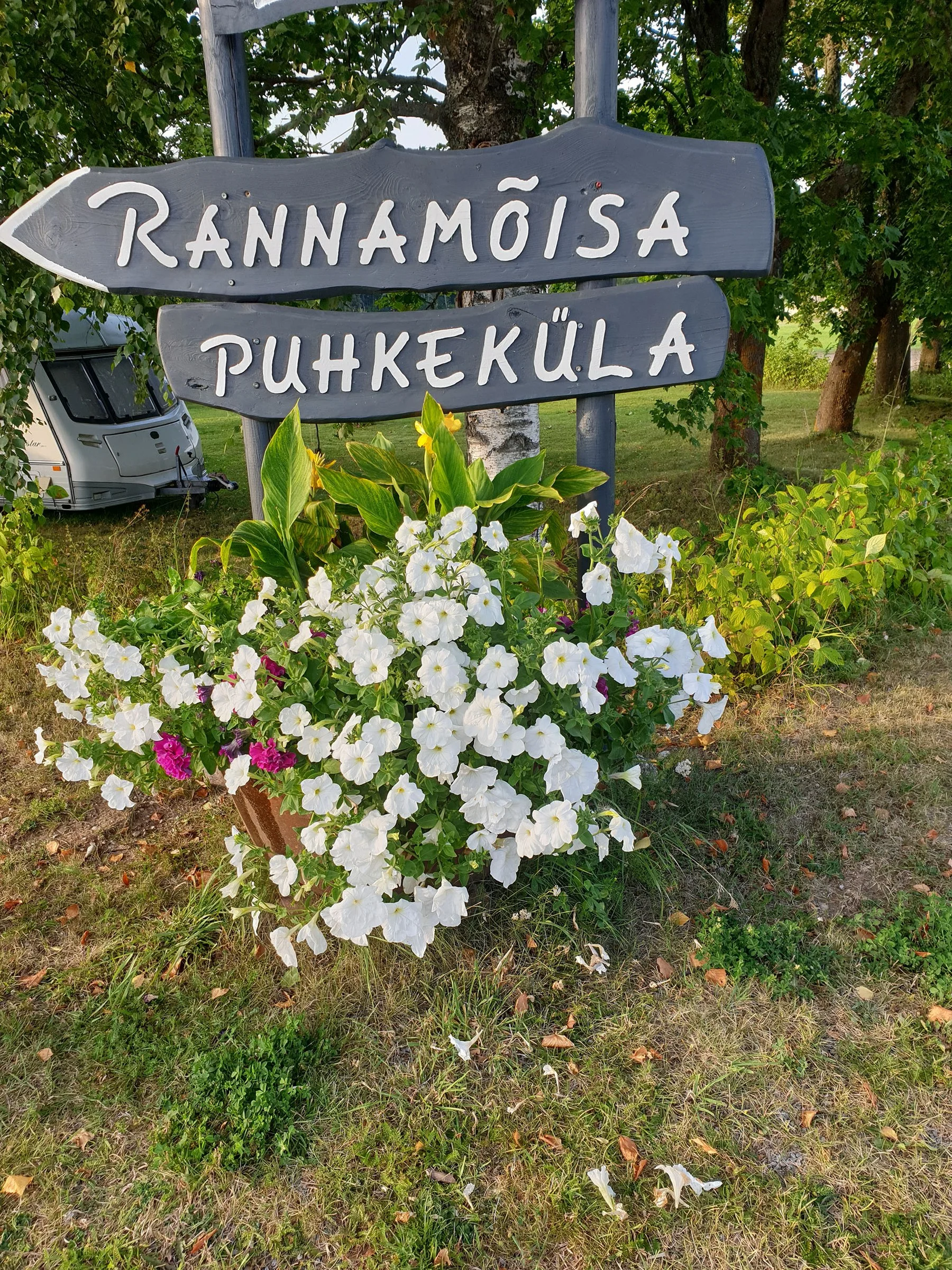 Wooden Rannamõisa holiday village sign among flowers