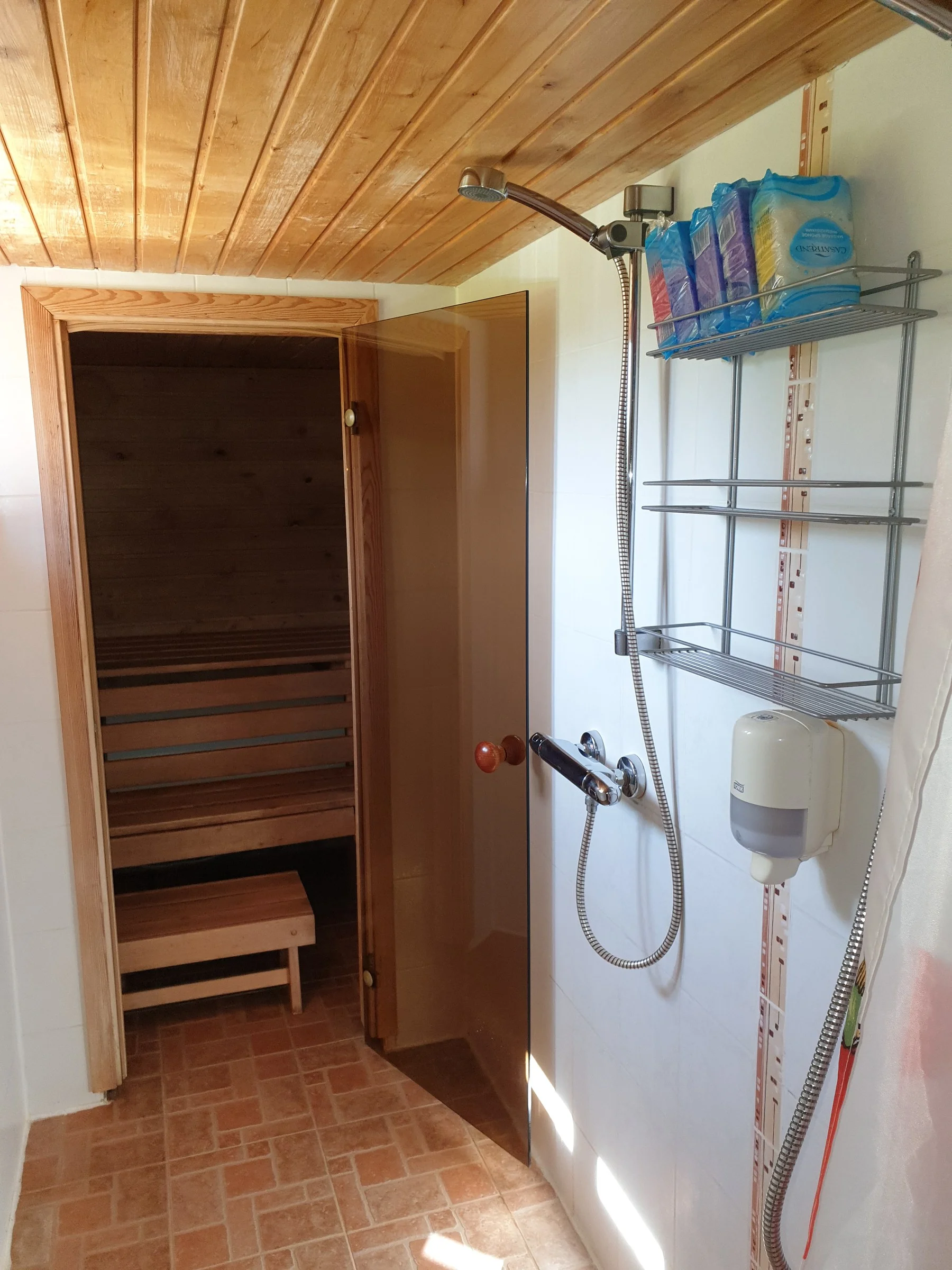 Sauna with an electric stove and a shower corner
