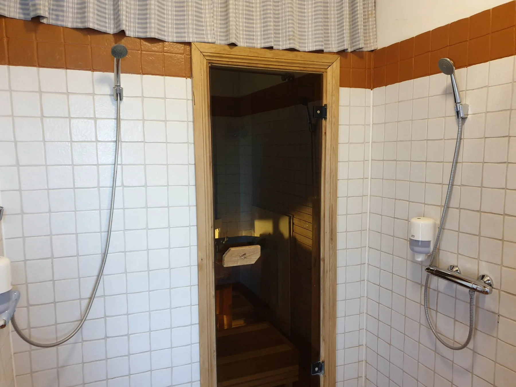 Shower room and sauna door