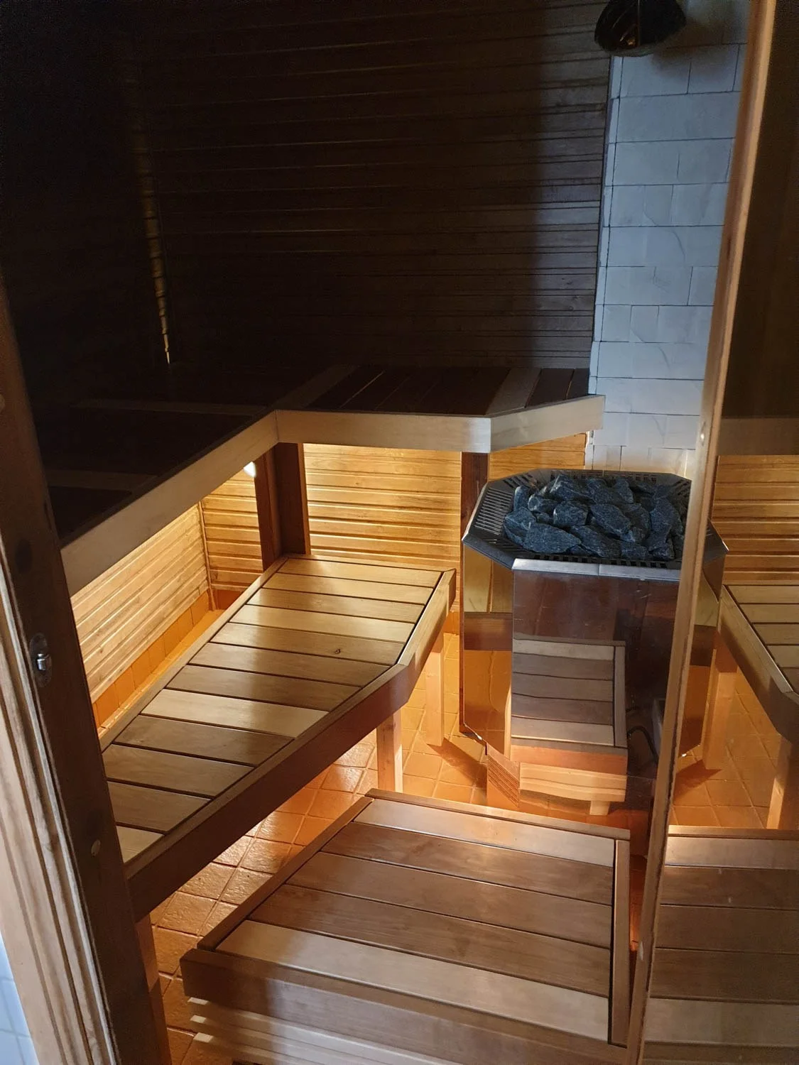 Sauna with an electric stove and benches